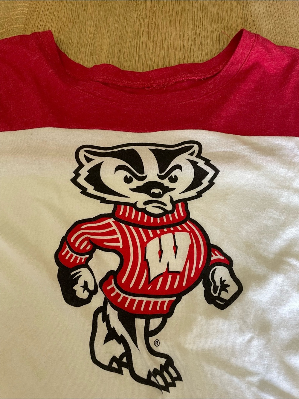 University of Wisconsin Bucky Badger Graphic Logo Tee